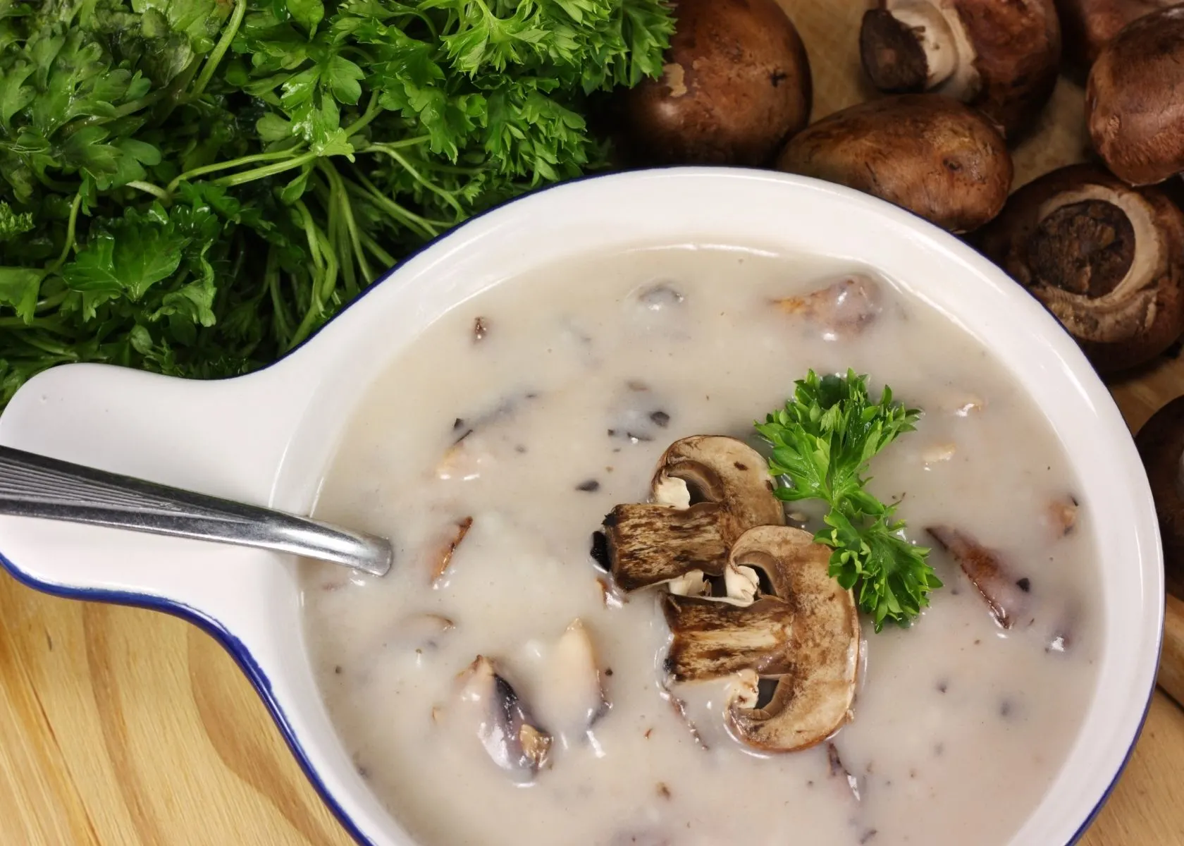 Cream of mushroom soup in white cook pot with green garnish and mushrooms on top.