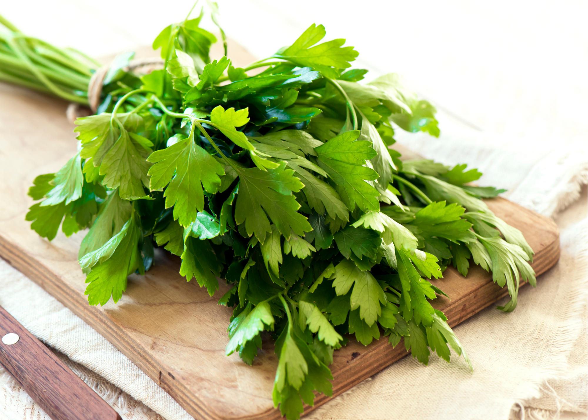 Large bunch of flat leaf parsley tied with twine on wood cutting board.