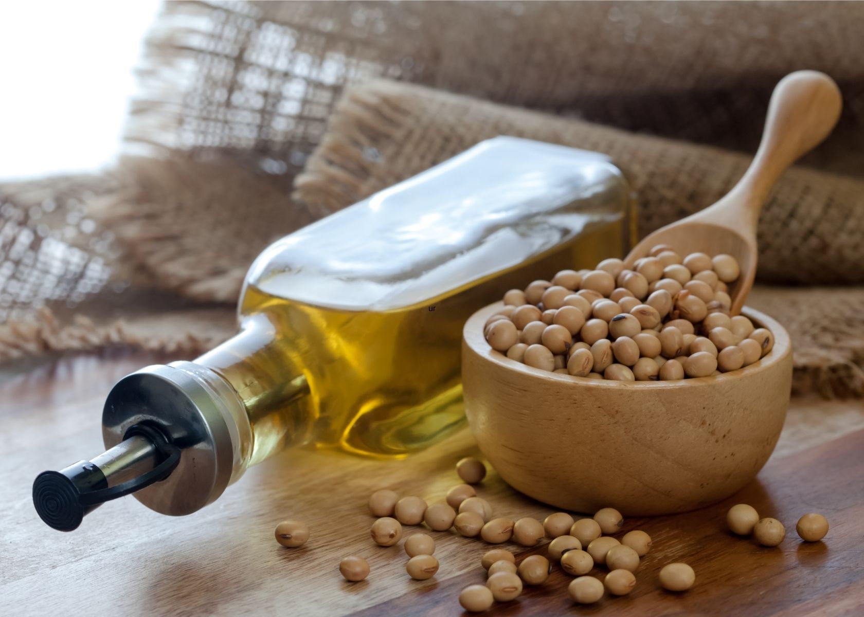 Soybean oil in glass bottle next to wooden bowl of soybeans pods with wooden spoon.