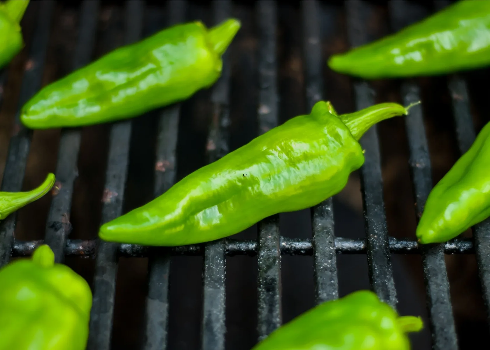 Close up of several bright green Anaheim peppers cooking on grill grate.