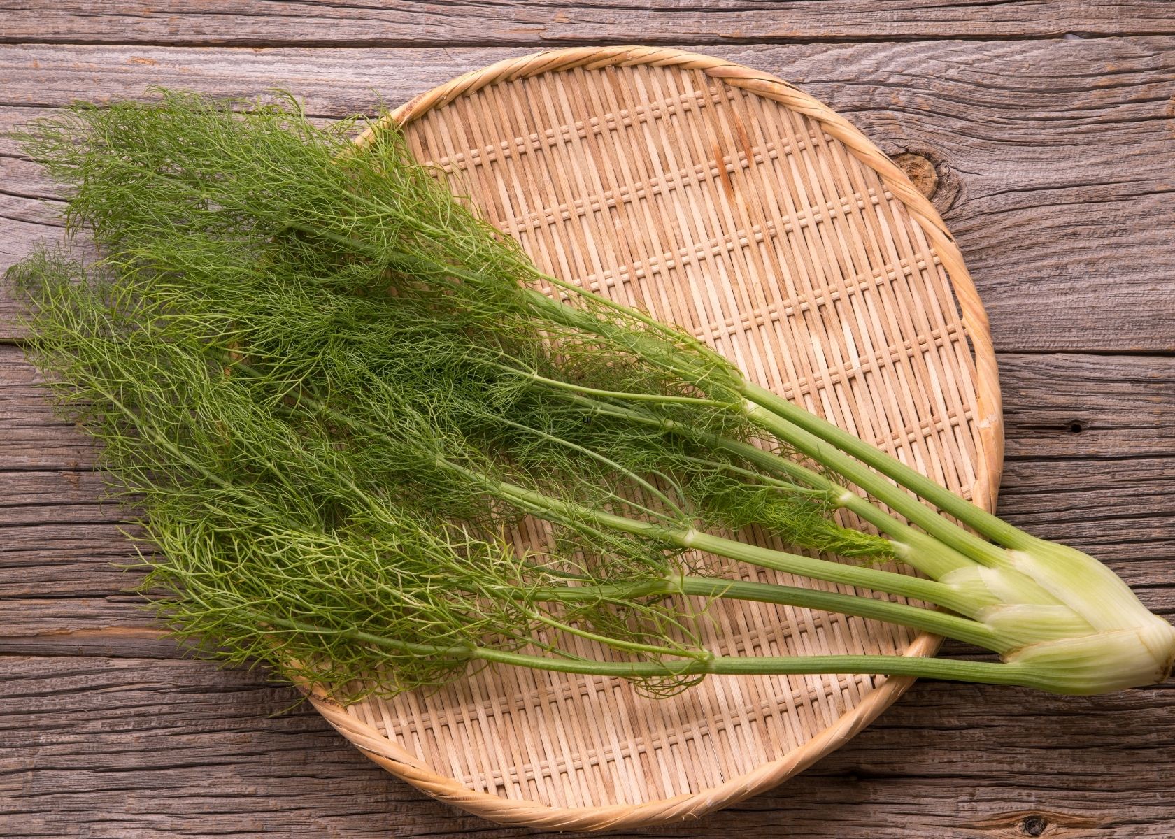 Fennel bulb with long stems and fronds on round woven wood placemat.
