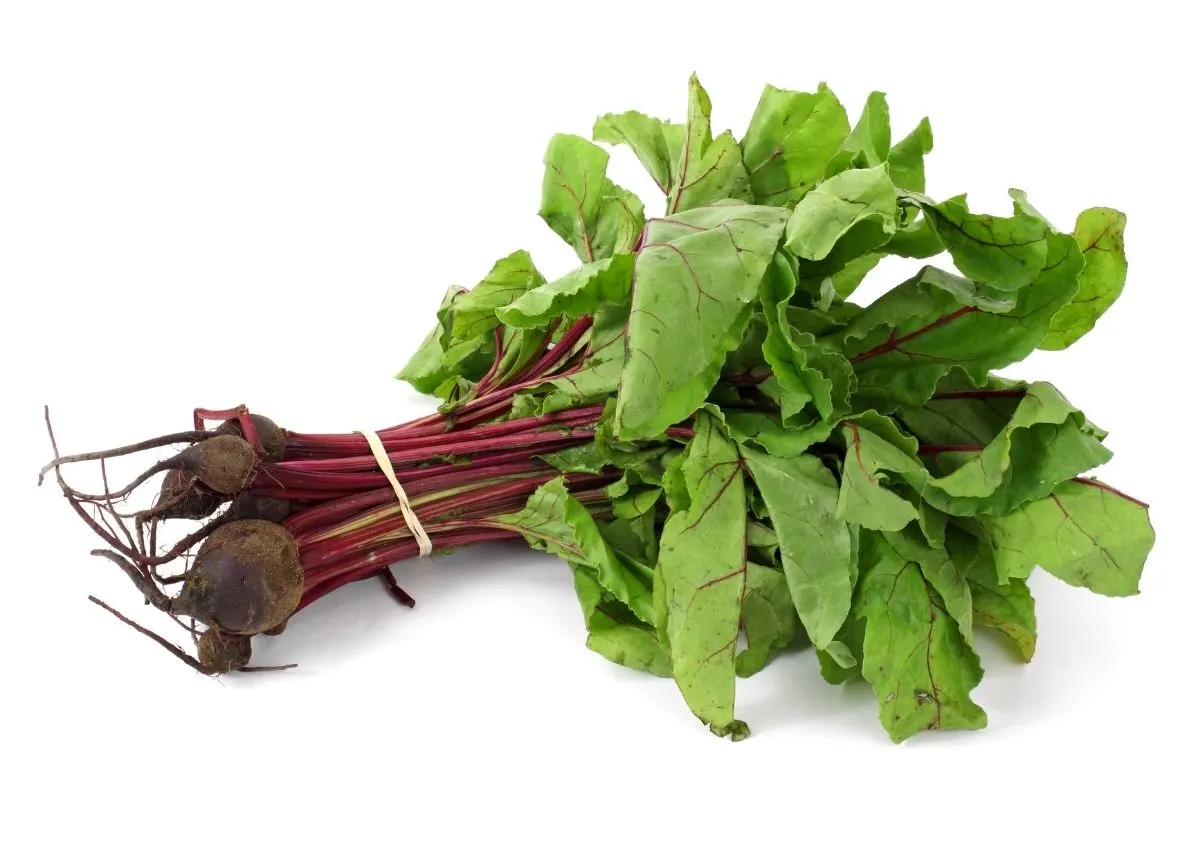 Bundle of beet greens with stalk and bulb sitting in front of white background.