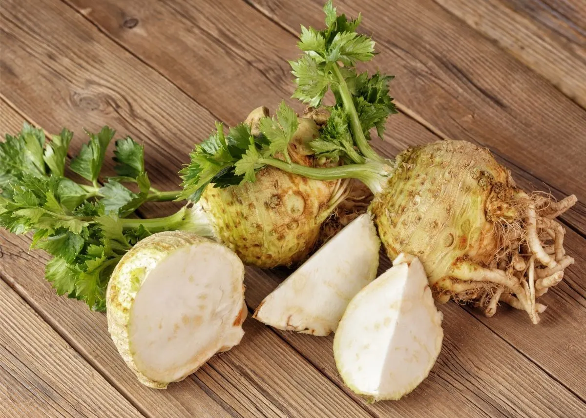 Several celeriac bulbs with green celery shoots on a rustic wooden table.