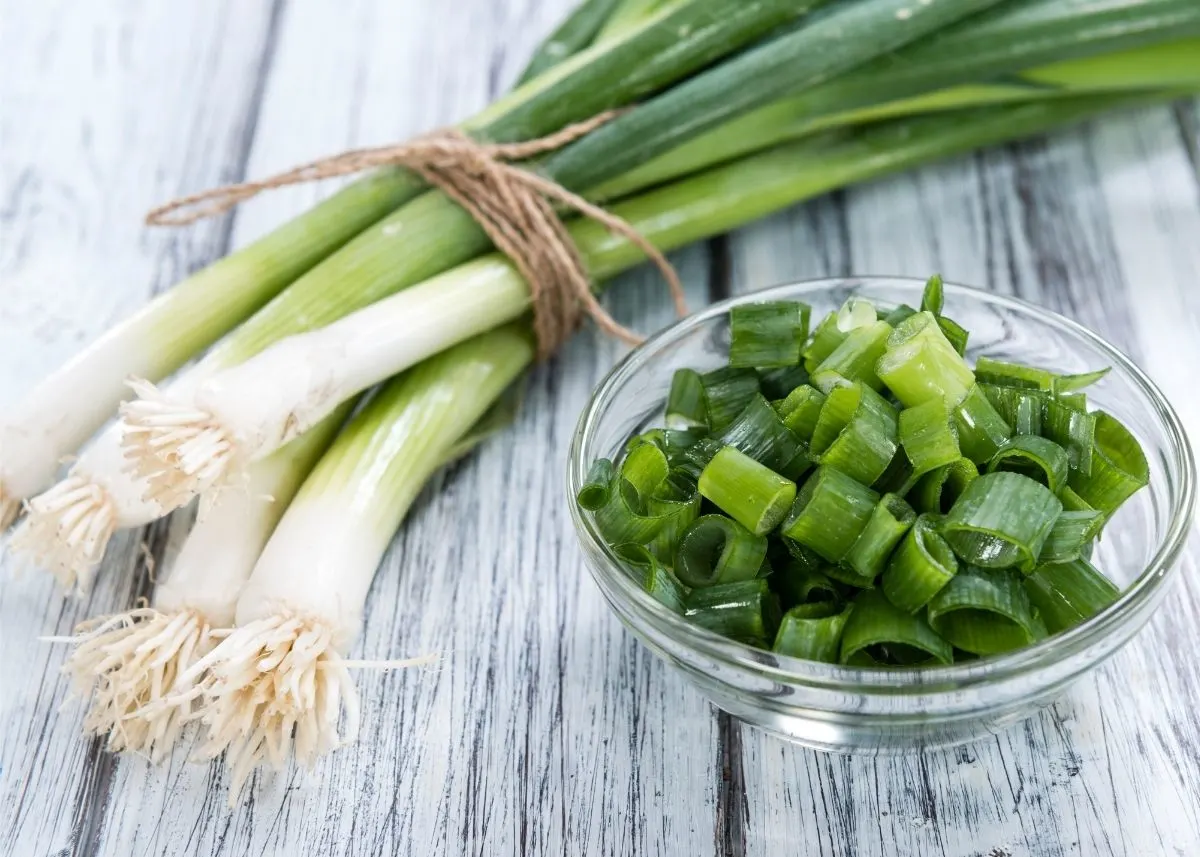 Large bundle of green onion wrapped in twine next to bowl of chopped scallions.