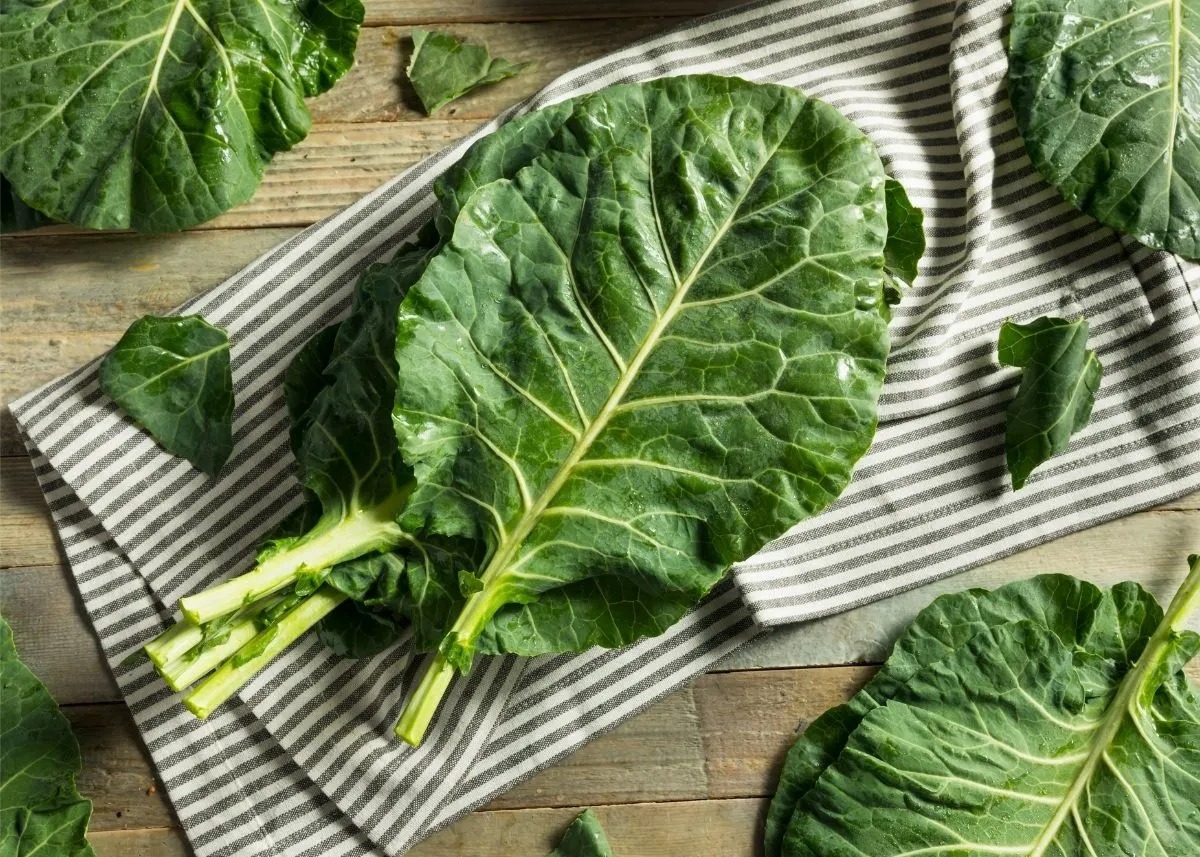 Piles of collard green leaves sitting on a striped kitchen towel on a wooden table.