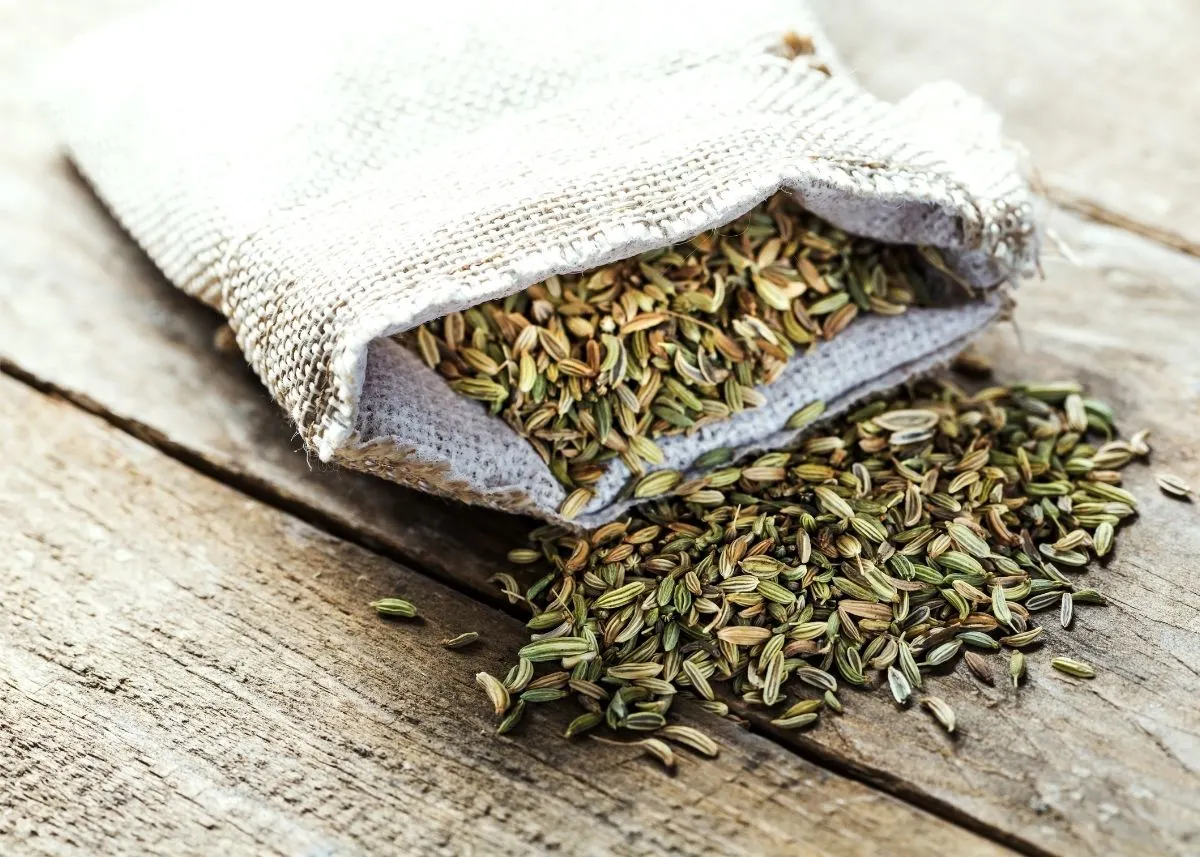 Lots of fennel seeds spilling out of a rustic sack on a wooden table top.