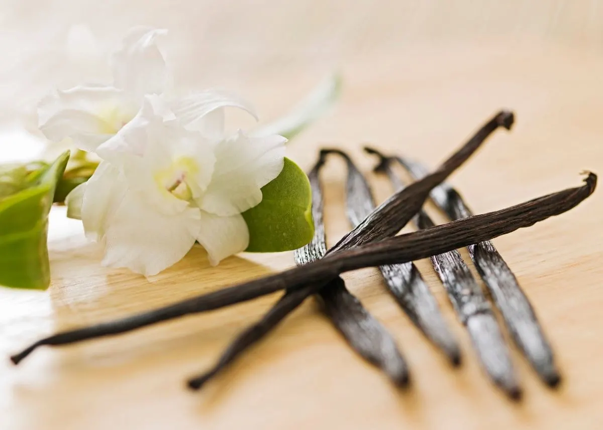 Overlapping vanilla bean pods next to white vanilla plant flowers on wooden table.