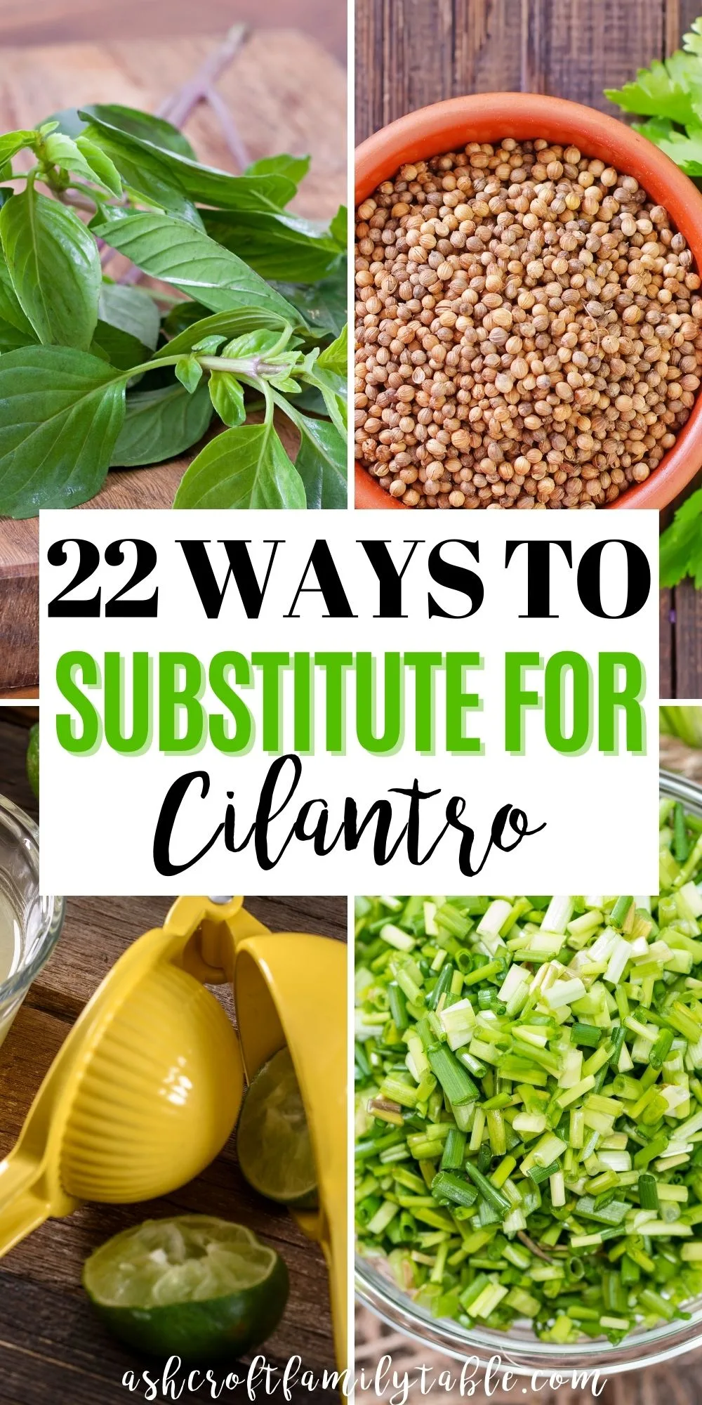 Pinterest graphic with text and collage of ingredients used to substitute for cilantro.