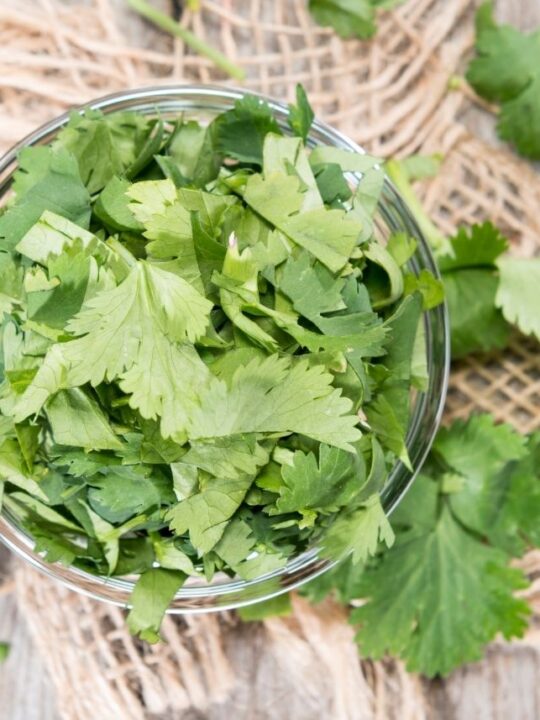Glass bowl piled high with cilantro leaves on a piece of burlap.