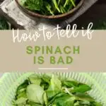 Pinterest graphic with text and collage of spinach in a bowl and salad spinner.