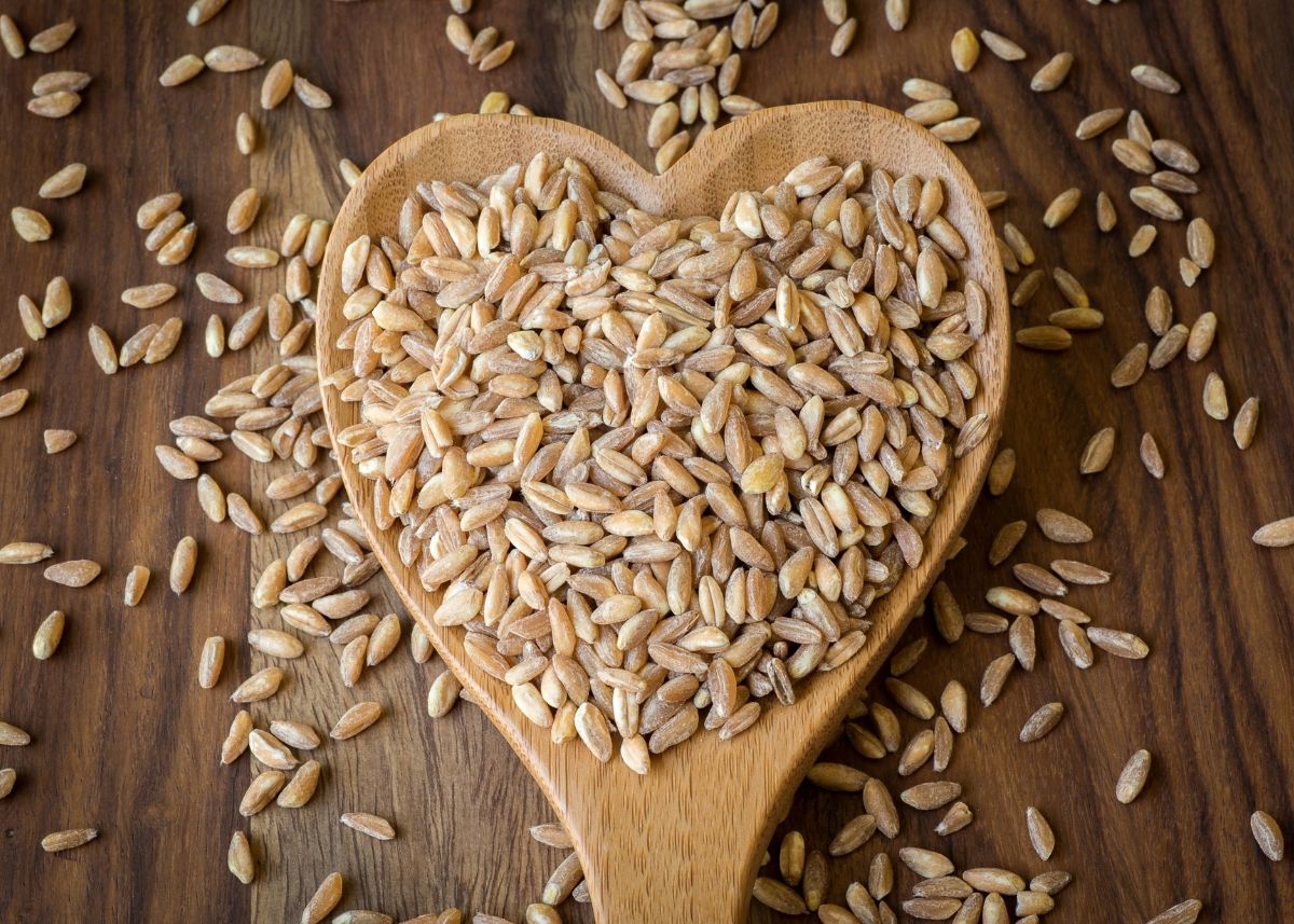 Close up of farro on large wooden heart-shaped spoon sitting on wooden table.