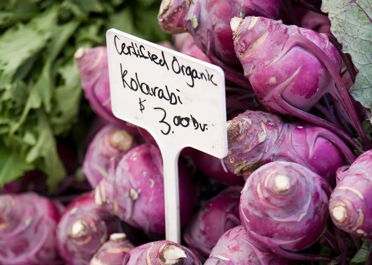 Pile of purple kholrabi vegetables in a market with sign for price.