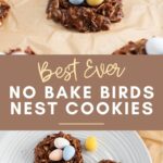Pinterest graphic with text and photos of Easter birds nest cookies.