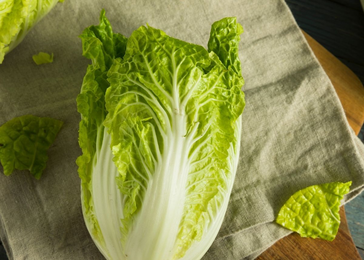 Bright green head of napa cabbage on gray kitchen towel.