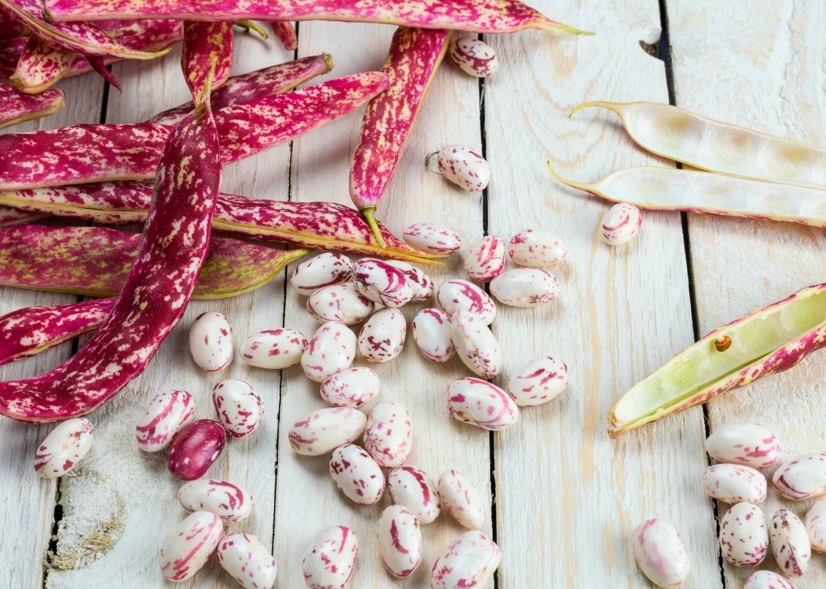 Pink and white borlotti beans on a white wooden table with bean pods.