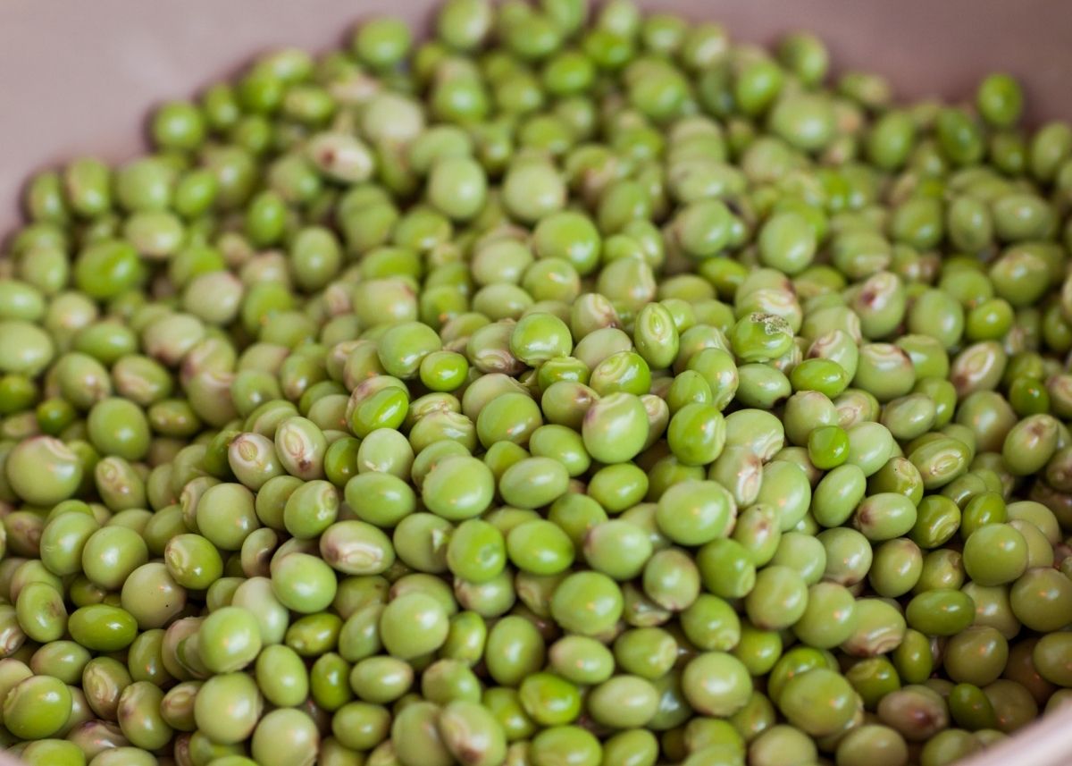Close up of a large pile of light green pigeon peas on tan background.