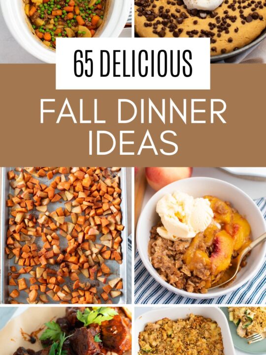 Graphic with text and photo collage of different fall dinner recipes.