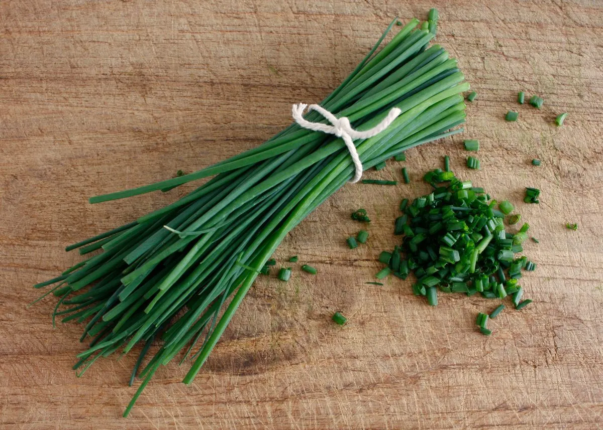A large bundle of chives tied together with twine next to chopped chives.
