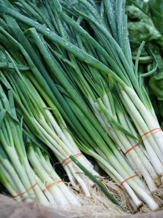 Several bundles of green onion piled together on a burlap cloth.