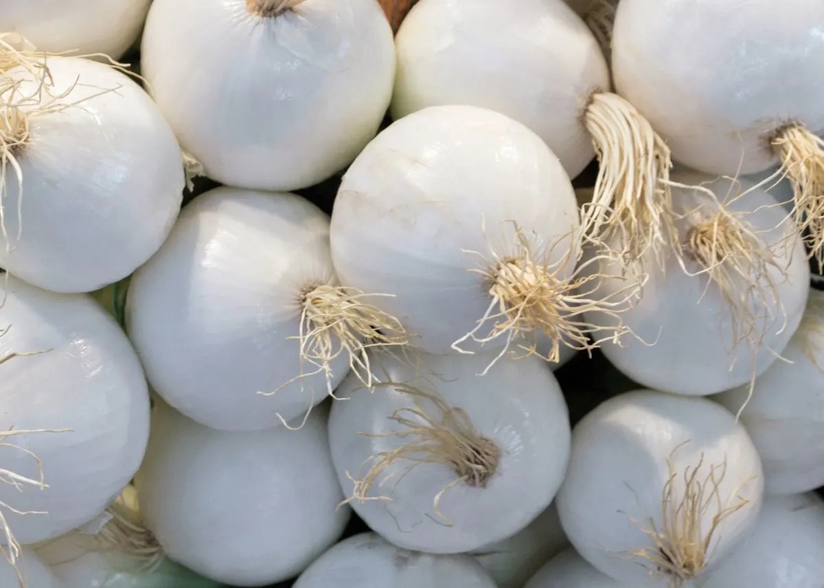 Close-up view of a large pile of whole, unpeeled white onions in a market.