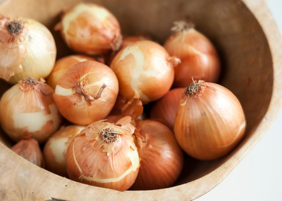 Close up image of a large rustic basket filled with whole yellow onions.