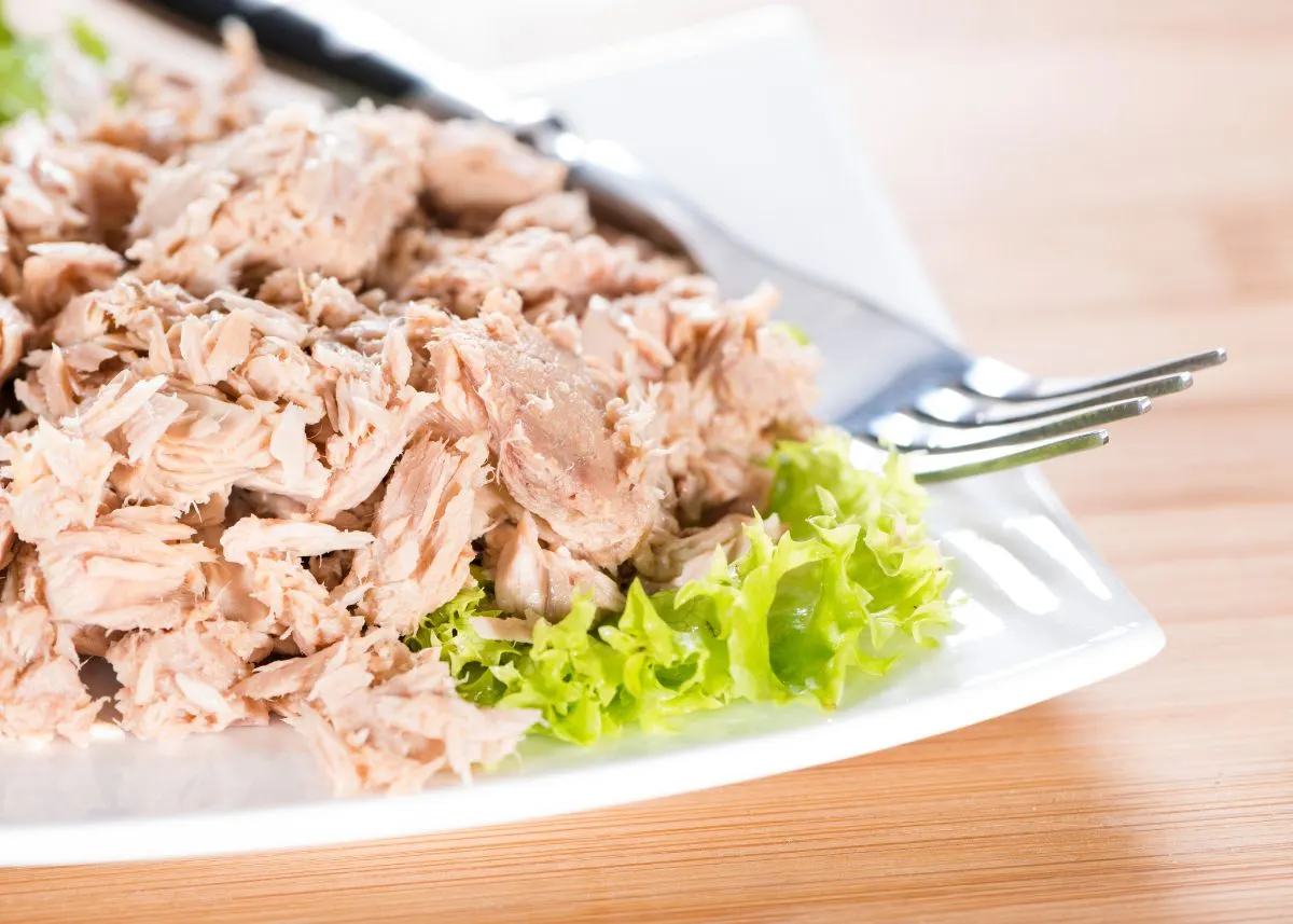 Tuna fish on a white plate with green garnish and a fork.