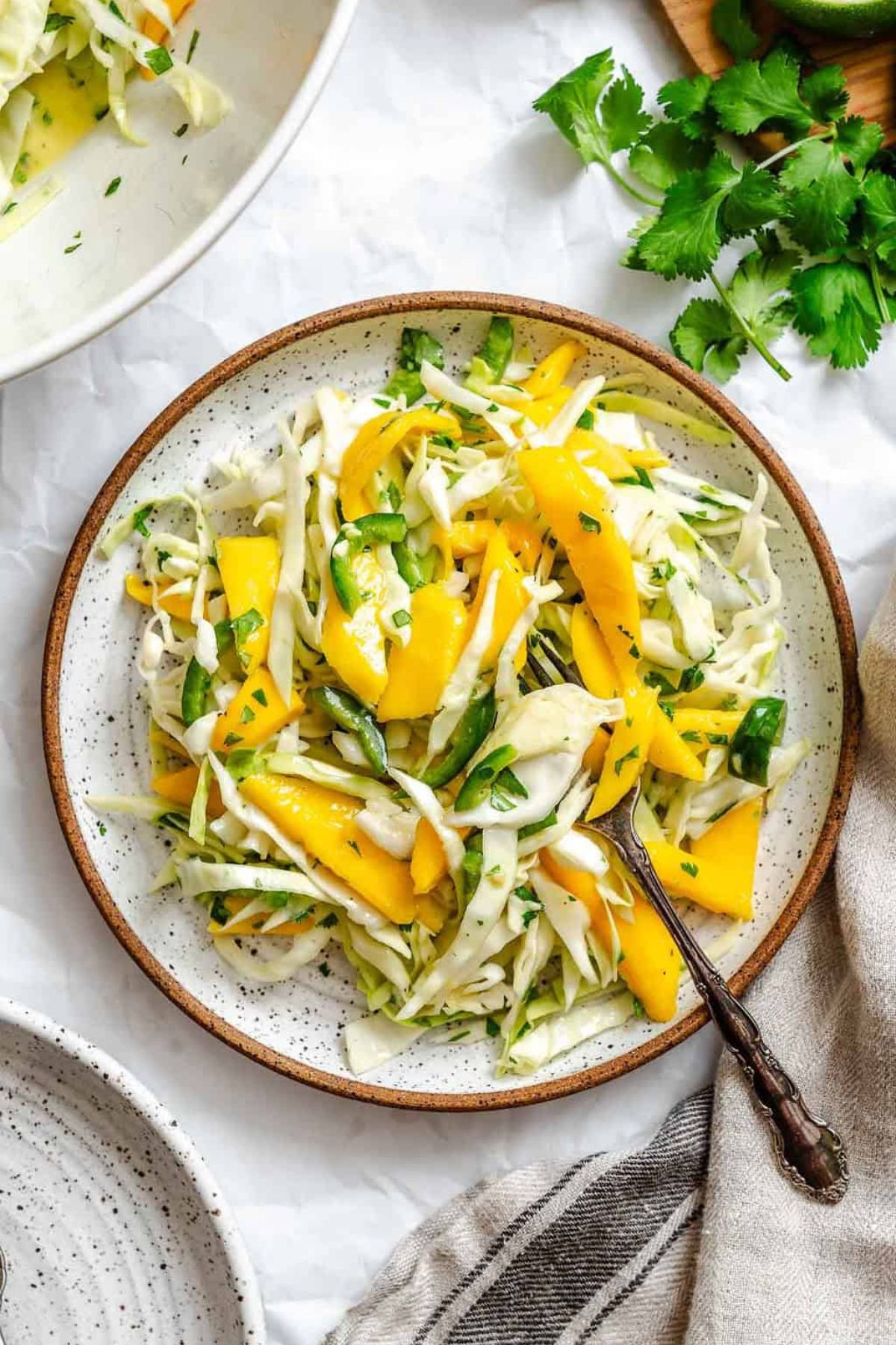 Mango slaw with cilantro on a rustic white plate.