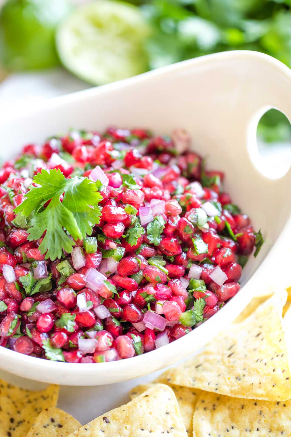 Pomegranate salsa in a white dish surrounded by tortilla chips.