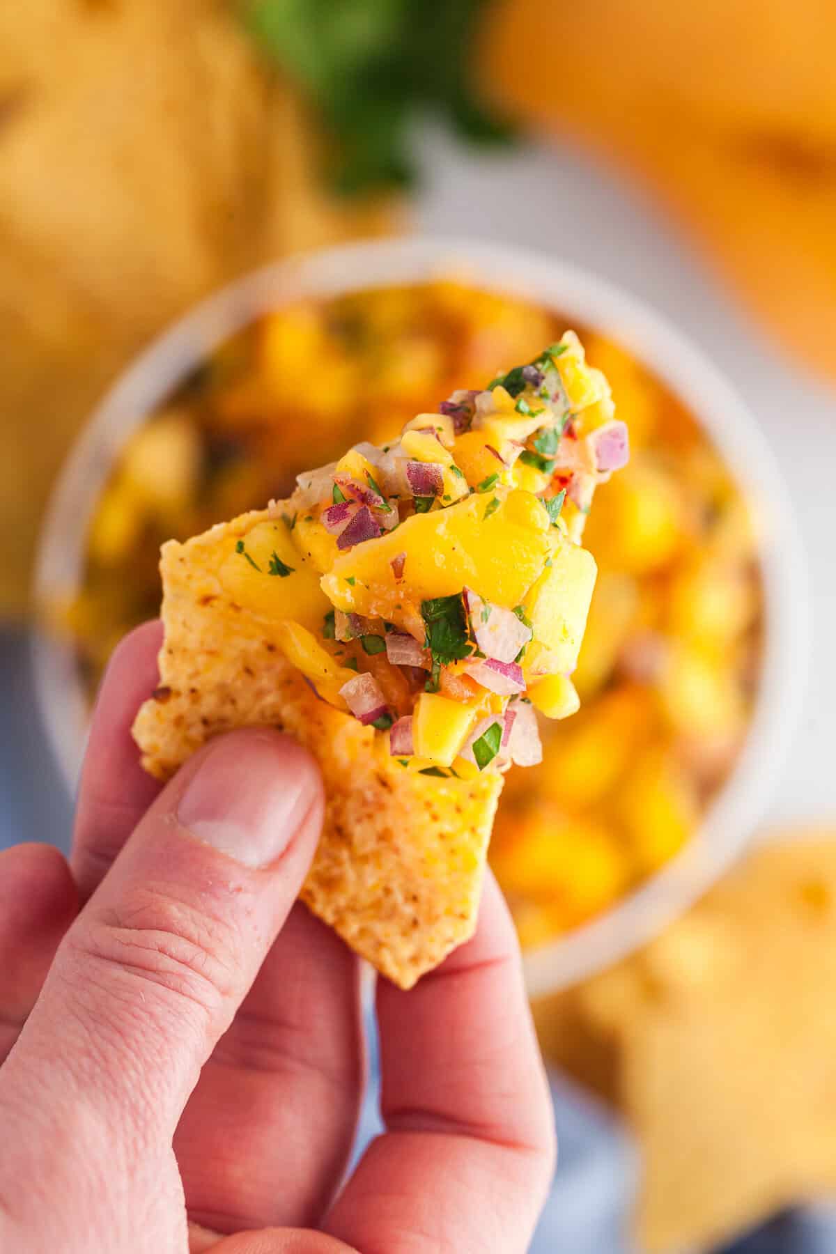 Mango habanero salsa lifted from a white bowl on a tortilla chip.