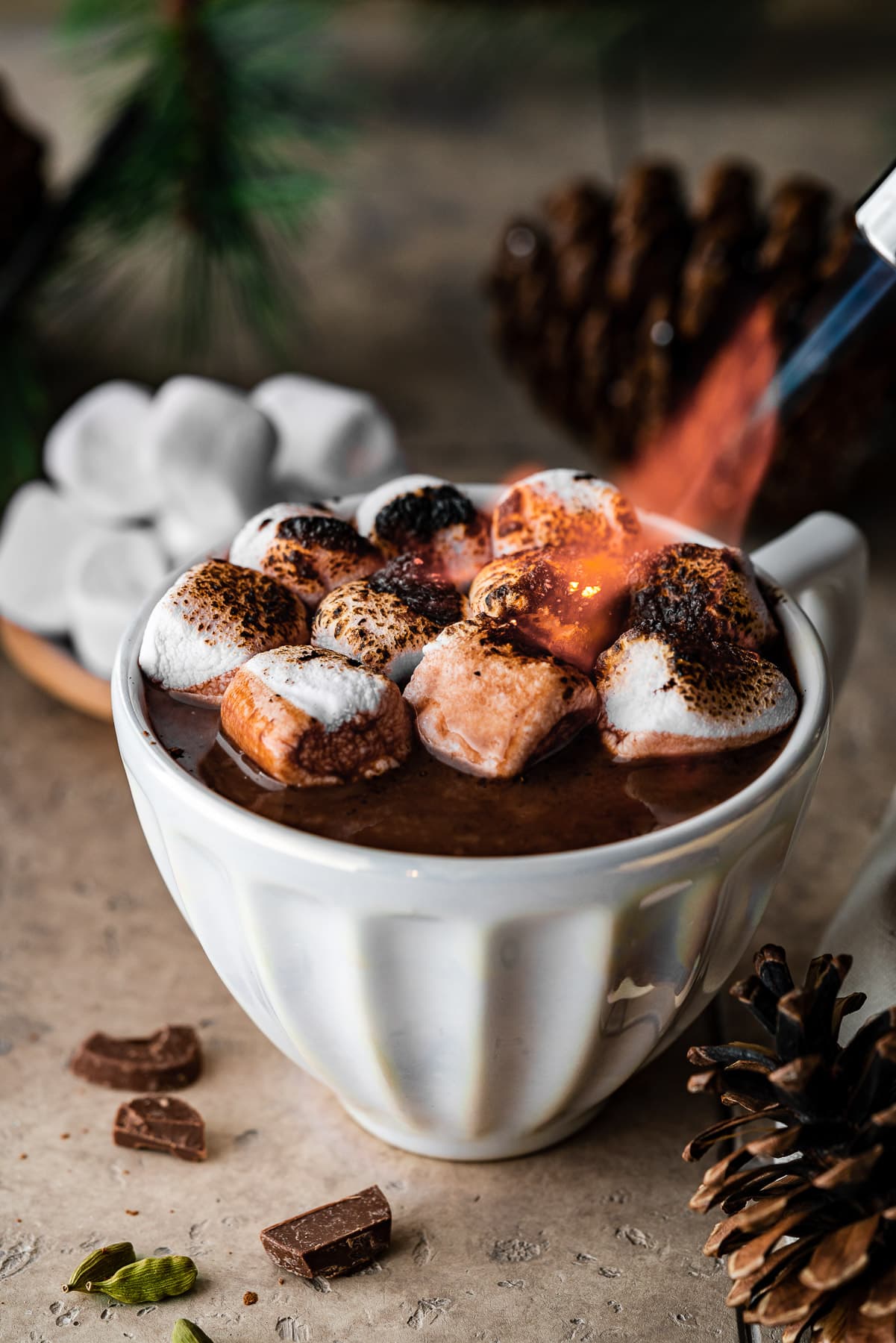 Chai hot chocolate in a fluted white mug with charred marshmallows on top.